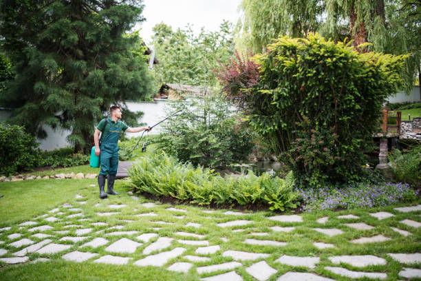 Best Ant Control Services  in Roseville, MI