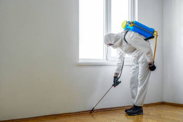 Best Affordable Pest Control Services  in Roseville, MI