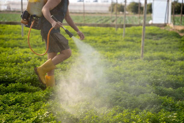 Best Pest Control Near Me in Roseville, MI