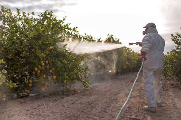 Best Ant Control Services  in Roseville, MI