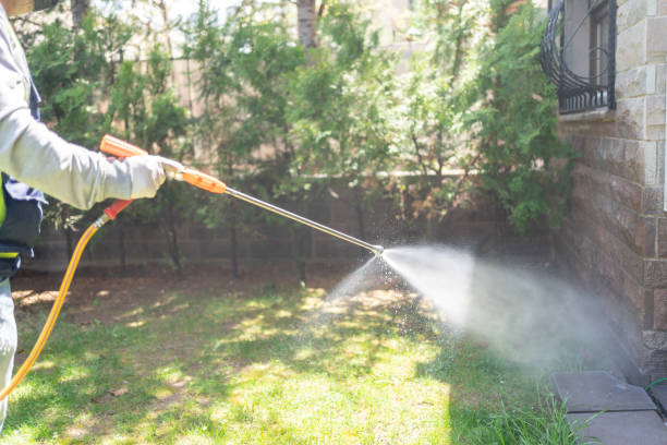 Best Wasp Removal Services  in Roseville, MI
