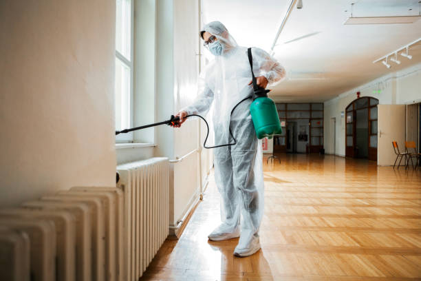 Best Insect Control  in Roseville, MI
